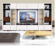 Victor Wall Unit